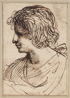 H 019
<br/>
Borstbeeld van een jongen, profiel naar links
<br/>
<em>Guercino (1591-1666) - atelier van</em>